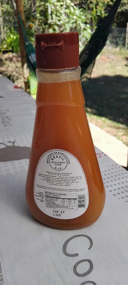 Mel Silvestre Bisnaga 500 g